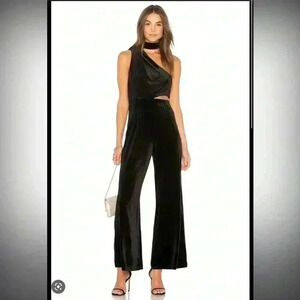 Lioness Velvet cutout jumpsuit NWT